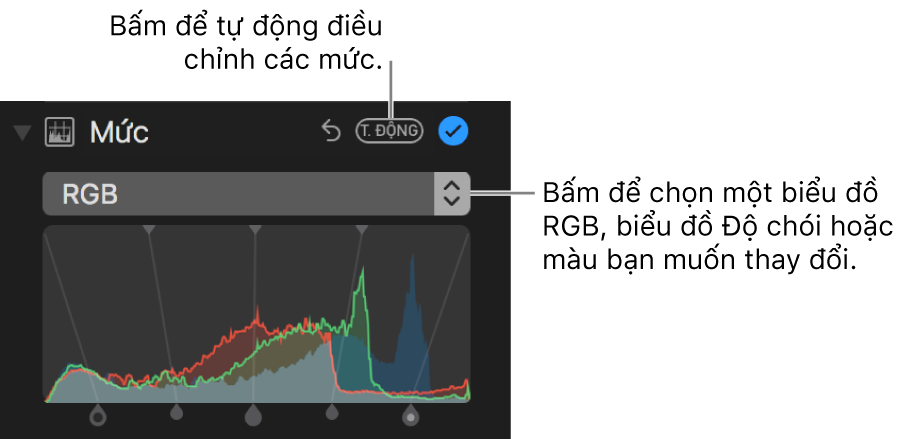 Các điều khiển mức với nút Tự động ở trên cùng bên phải.