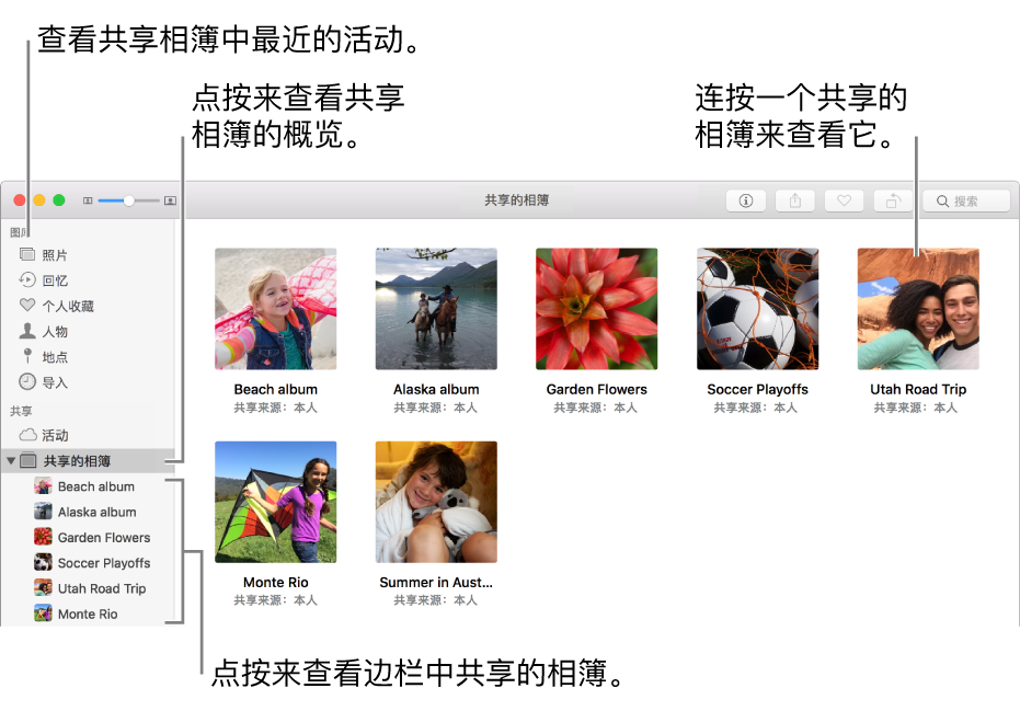 “照片”窗口的“共享”面板，显示共享的相簿。