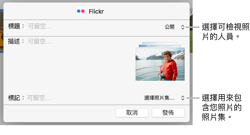 Flickr 分享對話框。
