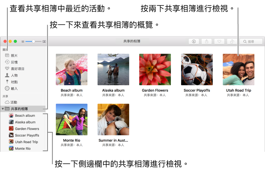 「照片」視窗的「共享」面板，顯示共享的相簿。