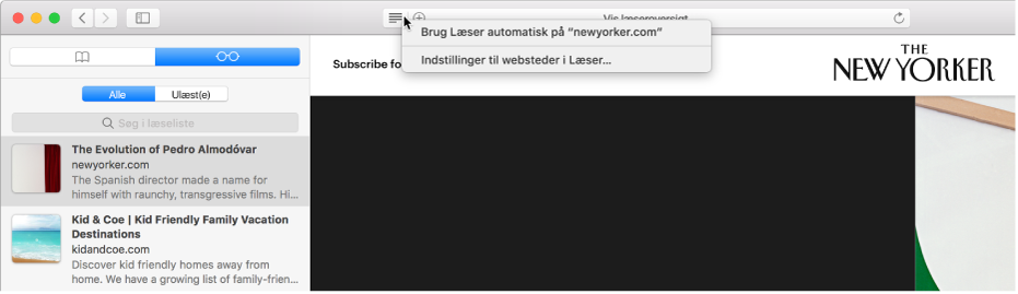 Safari-vindue, hvor der vises en læseliste.