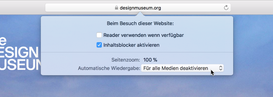Ein Menü im intelligenten Suchfeld mit den Einstellungen für die aktuelle Website.
