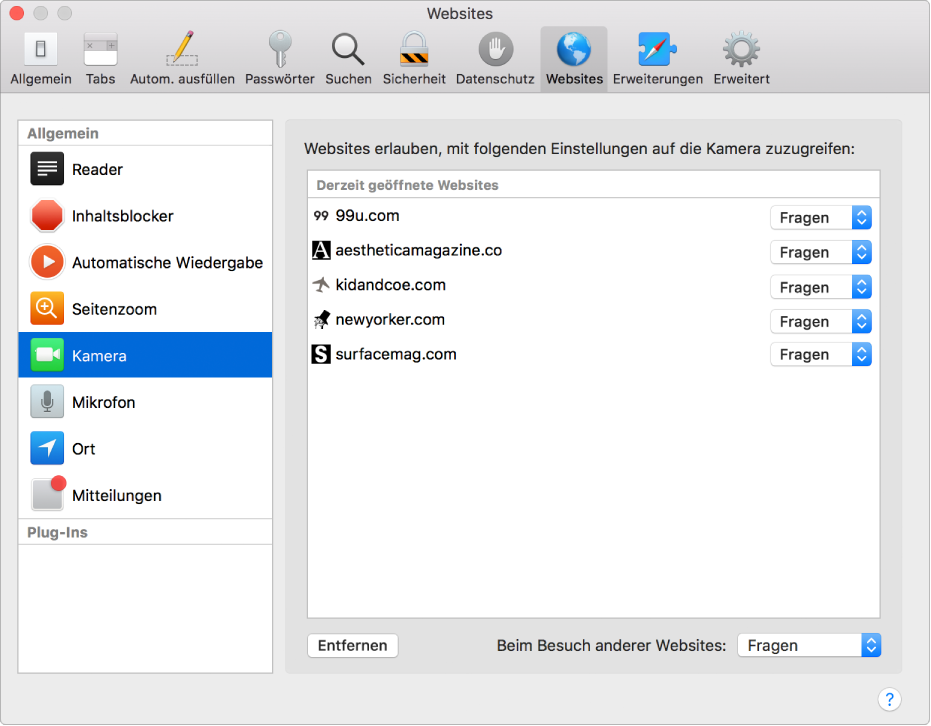 Der Bereich „Websites“ in den Safari-Einstellungen, mit dessen Optionen du das Verhalten einzelner Websites anpassen kannst.