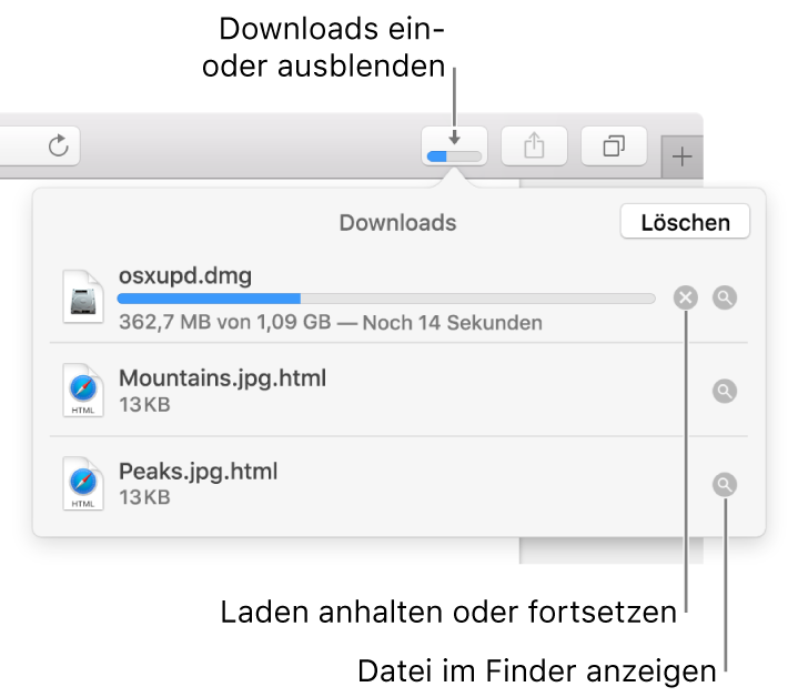 Die Taste „Downloads“ in der Symbolleiste und darunter die Liste der Downloads.