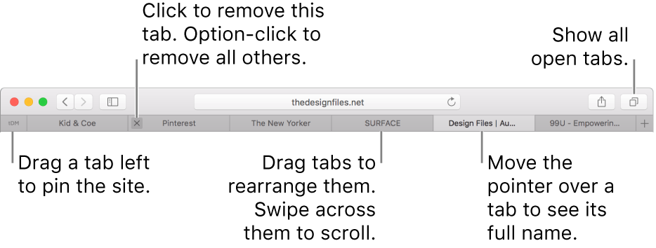 The Safari window with tabs.