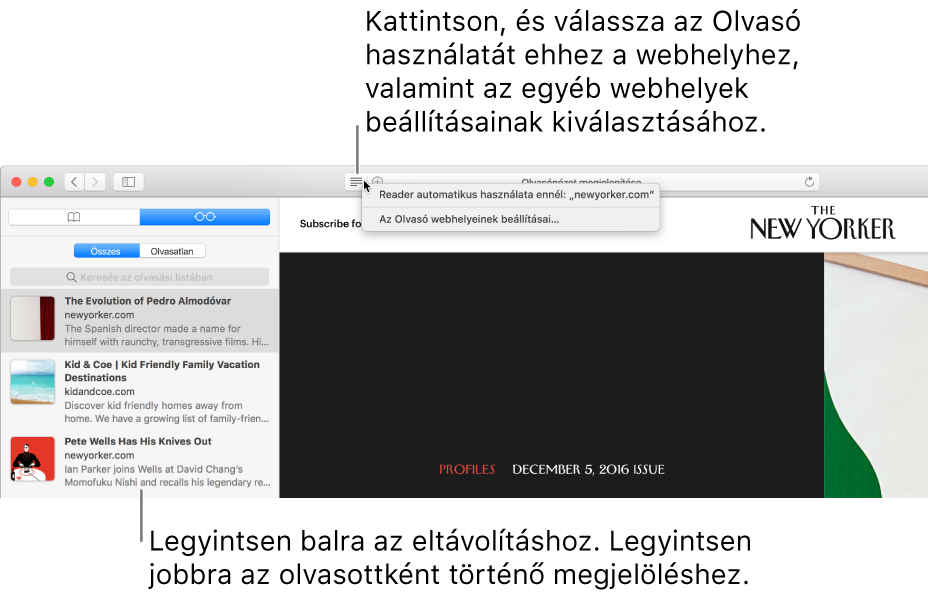 Safari-ablak a megjelenített Olvasási listával.