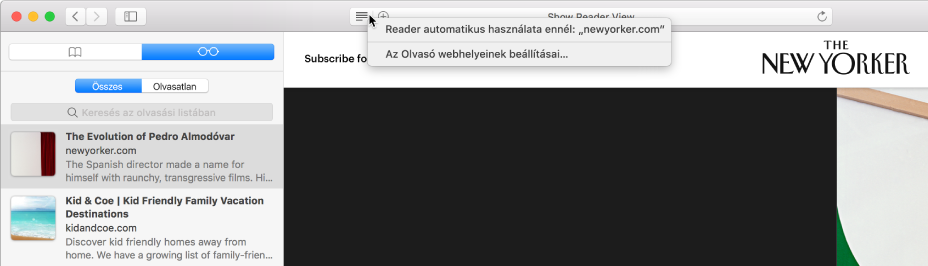 Safari-ablak megjelenített Olvasási listával.