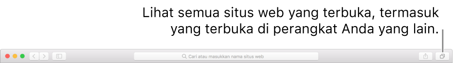 Tampilan Semua Tab menampilkan semua halaman web yang dibuka, termasuk yang dibuka di perangkat Anda lainnya.