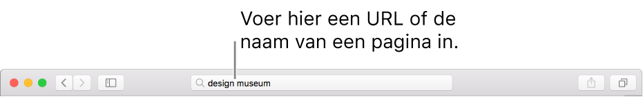 Het slimme zoekveld van Safari, waarin je de naam of URL van een pagina kunt typen.