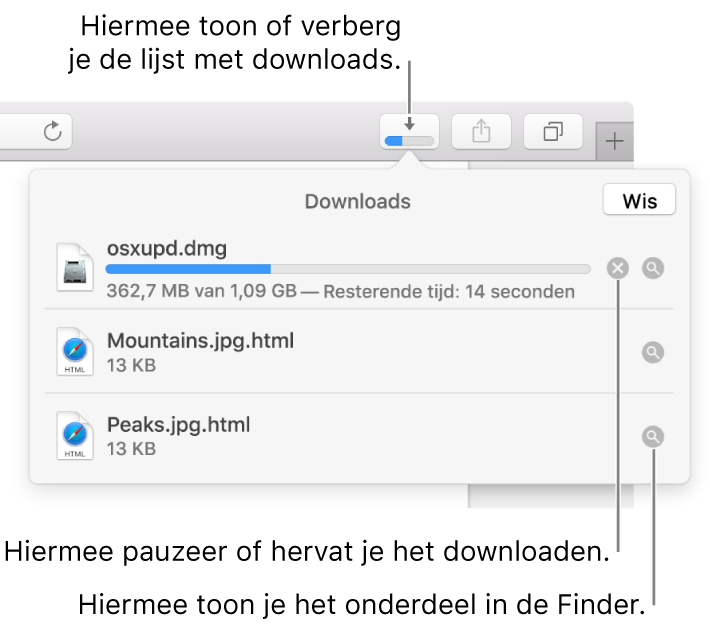 De knop 'Downloads' in de knoppenbalk, met daaronder de lijst met downloads.