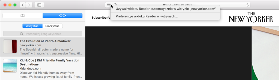 Okno Safari z listą Czytelnia.