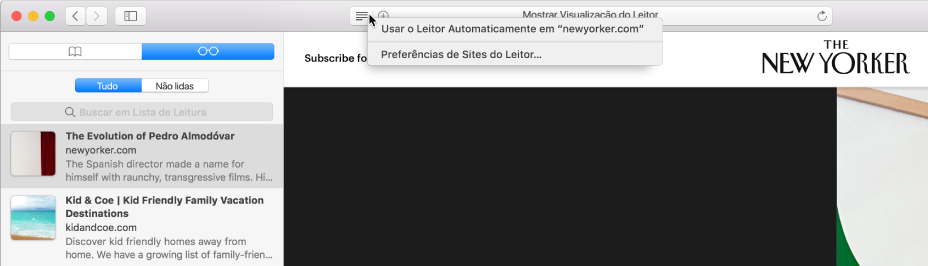 Janela do Safari com Lista de Leitura exibida.