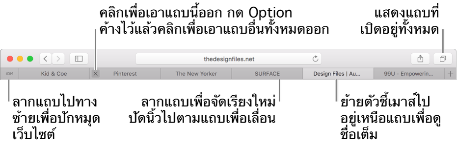 หน้าต่าง Safari ที่มีแถบต่างๆ