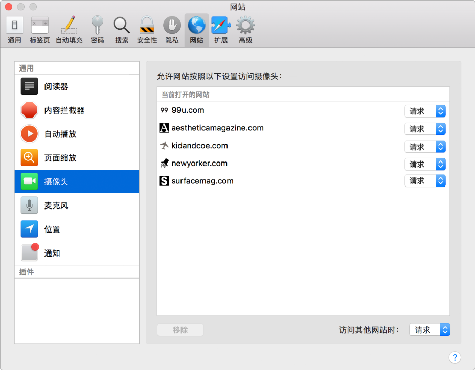 网站偏好设置,您可以在其中自定使用 Safari 浏览器浏览单个网站的方式。