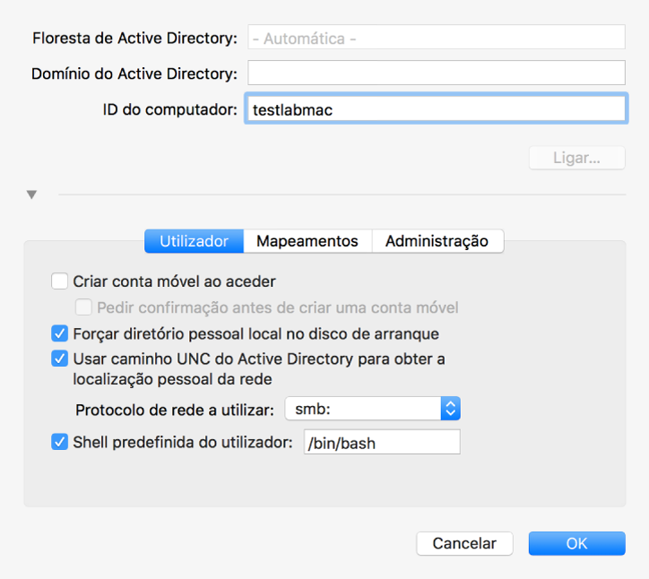 A caixa de diálogo de configuração do Active Directory com a secção de opções expandida.