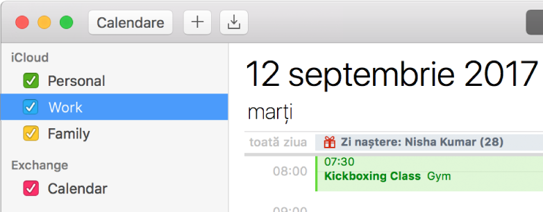 Fereastră Calendar în vizualizarea Zi prezentând calendare personale, profesionale și familiale cu coduri de culoare în bara laterală, sub antetul de cont iCloud și alt calendar sub antetul de cont Exchange.