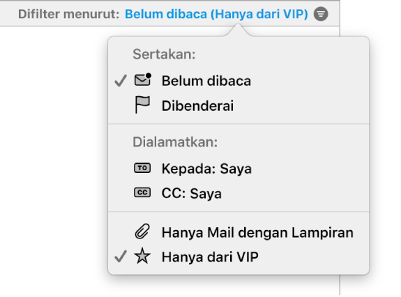 Menu pop-up filter menampilkan enam filter yang memungkinkan: Belum Dibaca, Dibenderai, Ke: Saya, CC: Saya, Hanya Mail dengan Lampiran, dan Hanya dari VIP.