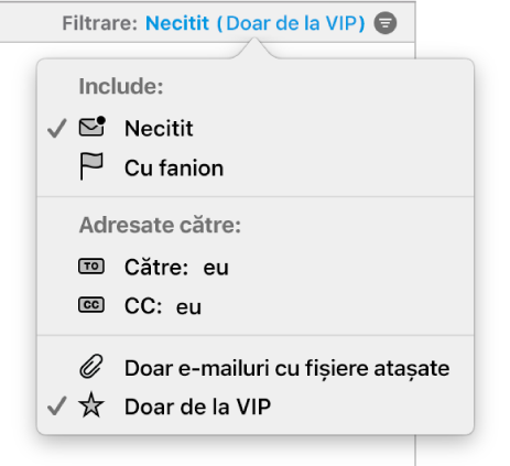 Meniul pop-up de filtrare care prezintă șase filtre posibile: Necitite, Semnalizate, Către: Mine, CC: Mine, Doar e‑mailuri cu fișiere atașate și Doar de la VIP.