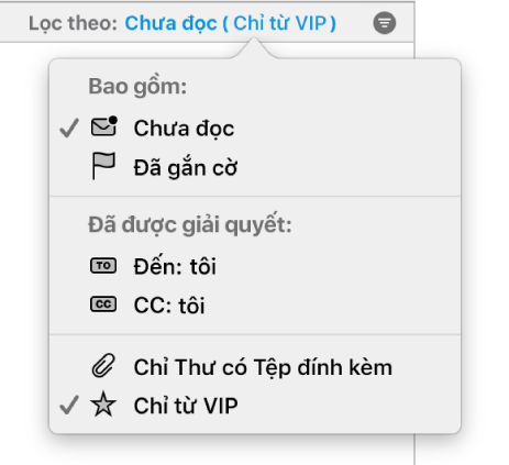 Menu bật lên bộ lọc hiển thị 6 bộ lọc có thể có: Chưa đọc, Đã gắn cờ, Đến: Tôi, CC: Tôi, Chỉ thư có tệp đính kèm và Chỉ từ VIP.
