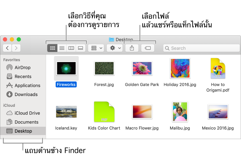 หน้าต่าง Finder ที่มีแถบด้านข้าง Finder ทางด้านซ้าย ที่ด้านซ้ายบนของหน้าต่างมีปุ่มสี่ปุ่มที่คุณคลิกได้เพื่อเปลี่ยนวิธีที่คุณดูรายการในหน้าต่าง Finder ทางด้านขวามีปุ่มสองปุ่มที่คุณคลิกเพื่อแชร์หรือแท็กไฟล์ที่เลือก