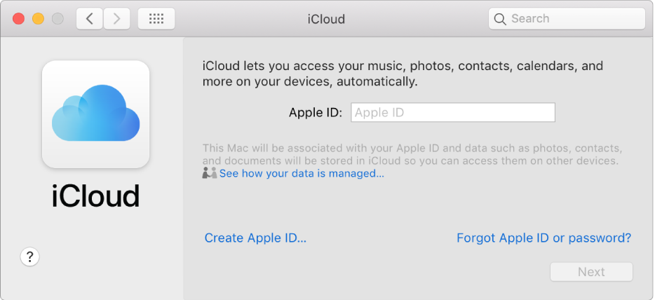 Apple kimliği ve parolası girişi için hazır iCloud tercihleri.