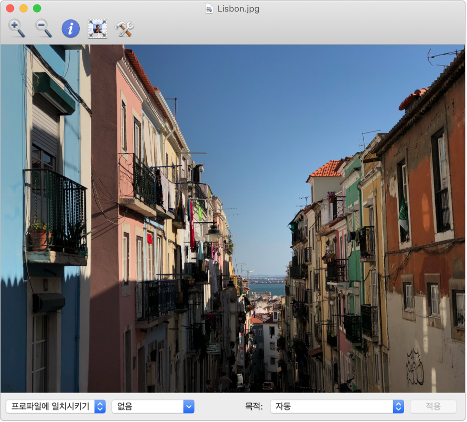 ColorSync 유틸리티 윈도우의 필드에 있는 소 이미지.