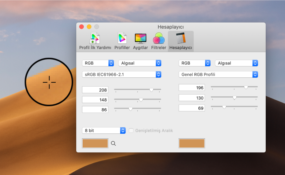 Piksel için renk değerlerini iki farklı renk profilinde gösteren Hesaplayıcı bölümü.