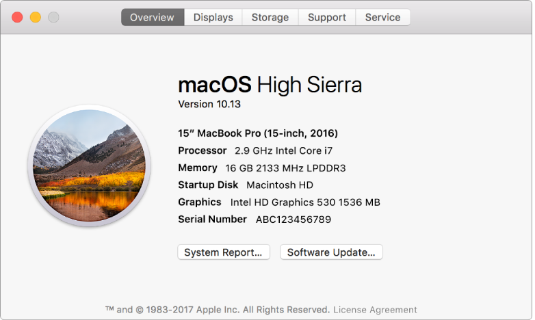 The Overview pane in System Information shows basic hardware and software specifications and the serial number for your Mac.