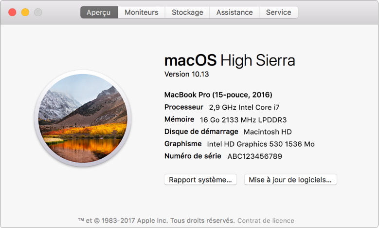 La sous-fenêtre Aperçu d’Informations système affiche des spécifications matérielles et logicielles de base, ainsi que le numéro de série de votre Mac.