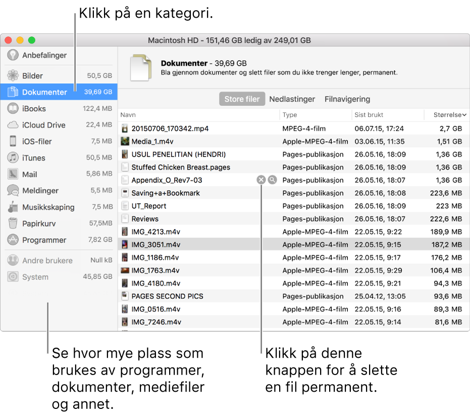 Bla gjennom filkategorier for å se hvor mye plass som brukes, for å finne filer og for å slette filer du ikke trenger lenger.