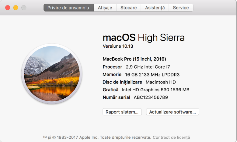 Panoul Privire de ansamblu din Informații sistem prezintă specificațiile de bază pentru hardware și software și numărul serial pentru Mac-ul dvs.