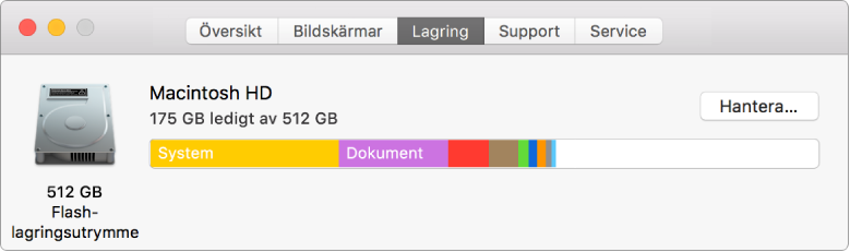 Panelen Lagring i Systeminformation med en grafisk visning av lagringsutrymmet.