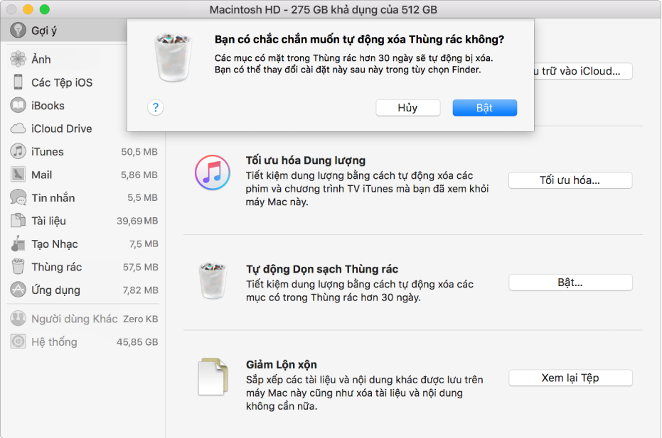 Hộp thoại “Bạn có chắc chắn muốn tự động xóa Thùng rác không” trong cửa sổ Đề xuất về dung lượng.