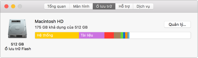 Khung Ổ lưu trữ trong Thông tin hệ thống, đang hiển thị biểu diễn hình ảnh của ổ lưu trữ của bạn.