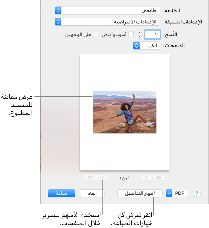 تشير الأيقونات في القائمة المنبثقة الطابعة إلى حالة الطابعة. يظهر مربع حوار الطباعة معاينة صغيرة لمهمة الطباعة. انقر على زر إظهار التفاصيل لعرض كل خيارات الطباعة.