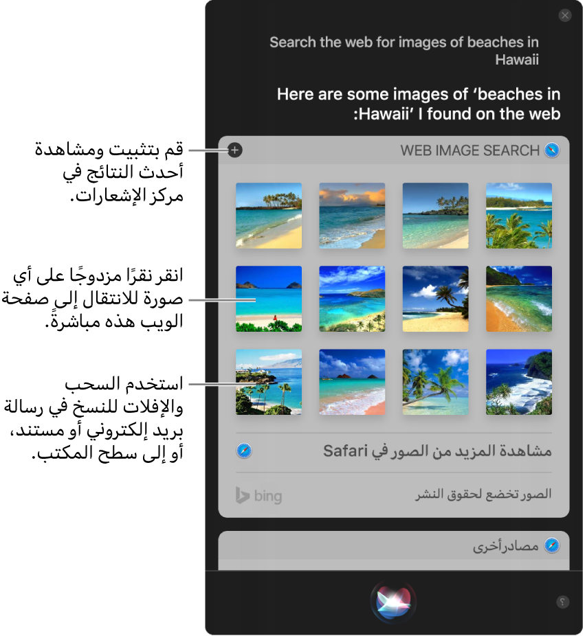 نافذة Siri تعرض نتائج Siri للطلب "ابحث في الويب عن صور الشواطئ في هاواي." يمكنك تثبيت النتائج في مركز الإشعارات، أو النقر مرتين على صورة لفتح صفحة الويب التي تحتوي على صورة، أو سحب صورة إلى بريد إلكتروني أو مستند أو إلى سطح المكتب.