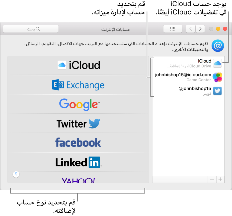 تفضيلات حسابات الإنترنت مع حسابات iCloud وتويتر المدرجة على اليمين وأنواع الحسابات المتاحة المدرجة على اليسار.