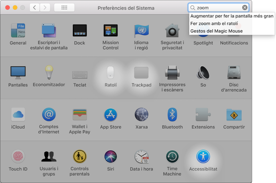 Finestra de les Preferències del Sistema que mostra “zoom” al camp de cerca, una llista dels resultats de cerca coincidents a sota del camp de cerca i tres icones de preferències ressaltades.