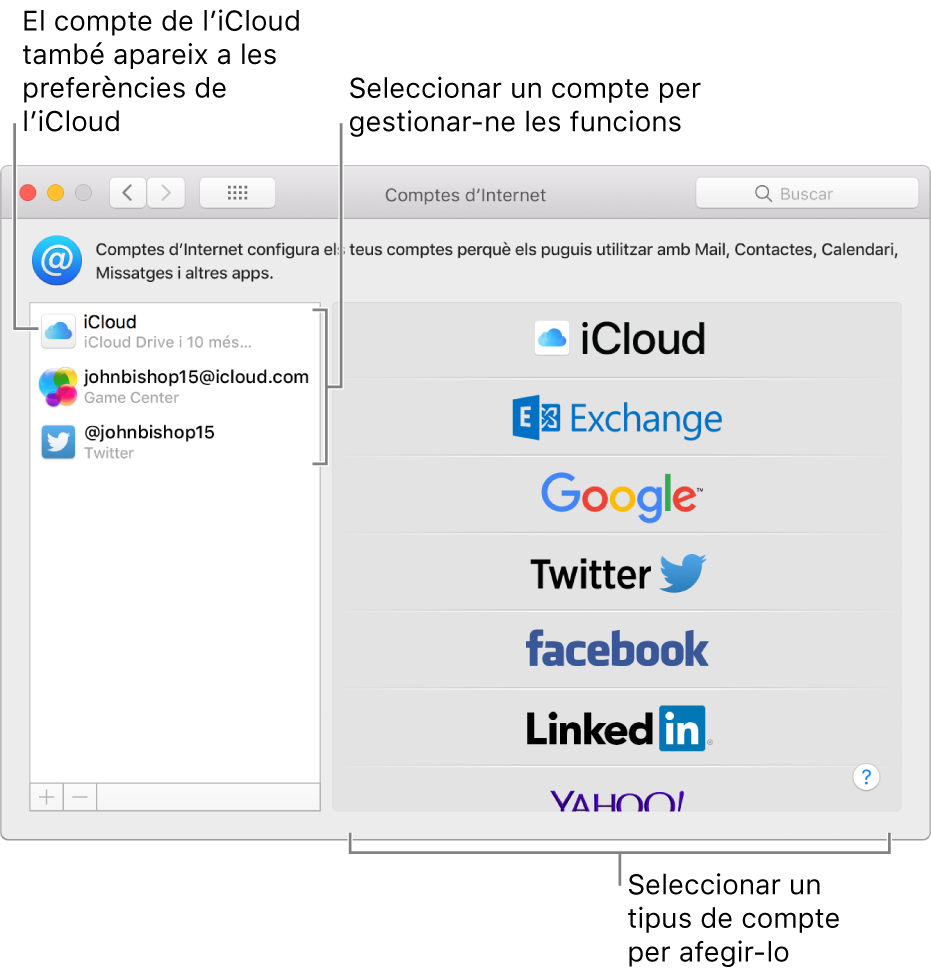 Tauler de preferències “Comptes d’Internet”, amb comptes de l’iCloud i del Twitter a la dreta i els tipus de compte disponibles a l’esquerra.