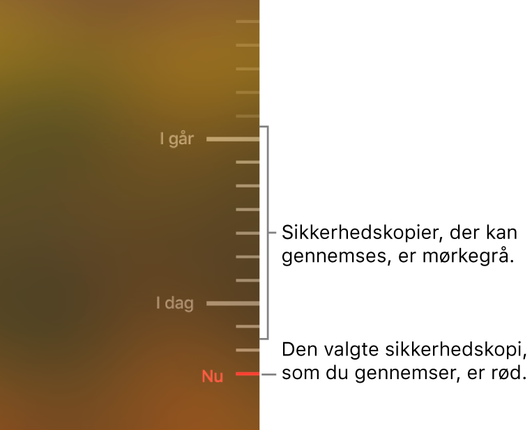 Grå hakker på tidslinjen til sikkerhedskopier. Den røde hak angiver den sikkerhedskopi, du er ved at gennemse.