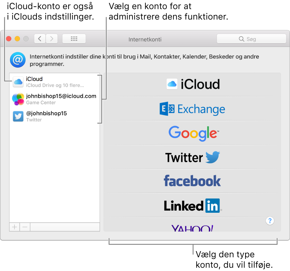 Vinduet Internetkonti, hvor iCloud- og Twitter-konti vises til højre og tilgængelige kontotyper vises til venstre.