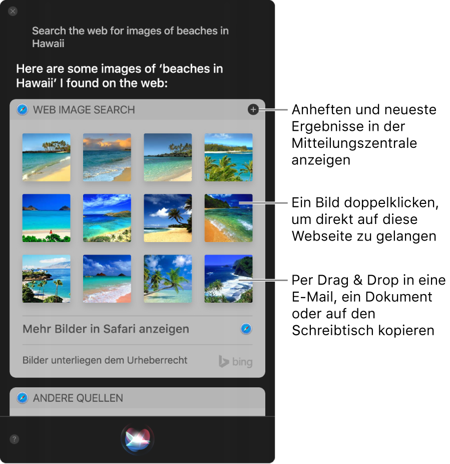 Das Siri-Fenster mit den Siri-Ergebnissen für die Bitte „Suche im Internet nach Bildern von Sandstrand“. Du kannst die Ergebnisse in der Mitteilungszentrale anheften, auf ein Bild doppelklicken, um die Webseite mit dem Bild zu öffnen, oder ein Bild in eine E-Mail oder Dokument oder auf den Schreibtisch bewegen.