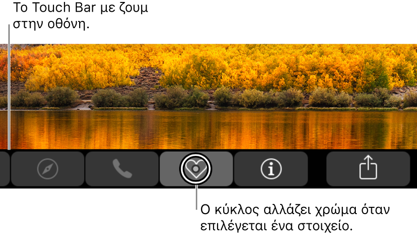 Το μεγεθυμένο Touch Bar κατά μήκος του κάτω μέρους της οθόνης. Ο κύκλος πάνω από ένα κουμπί αλλάζει όταν επιλέγεται το κουμπί.