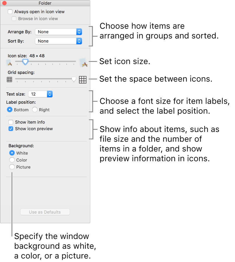 A window listing Icon view options.