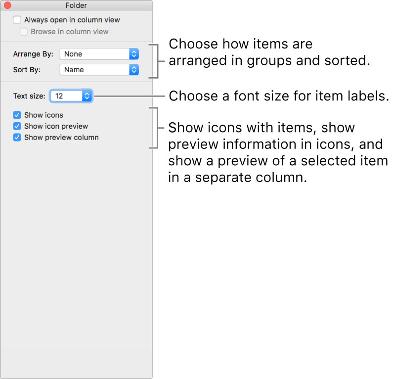 A window listing the Column view options.