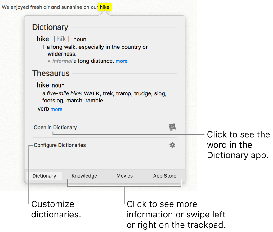 The Look Up window showing Dictionary and Thesaurus definitions for a word.