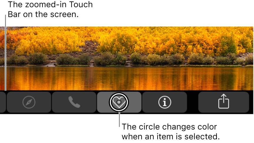 The zoomed-in Touch Bar along the bottom of the screen; the circle over a button changes when the button is selected.