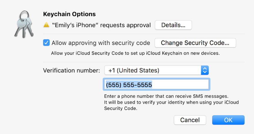 The iCloud Keychain Options dialog with the name of the device requesting approval and a Details button next to it.