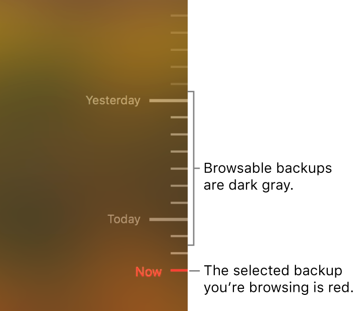 Gray tick marks in the backup timeline. The red tick mark indicates the backup you’re browsing.