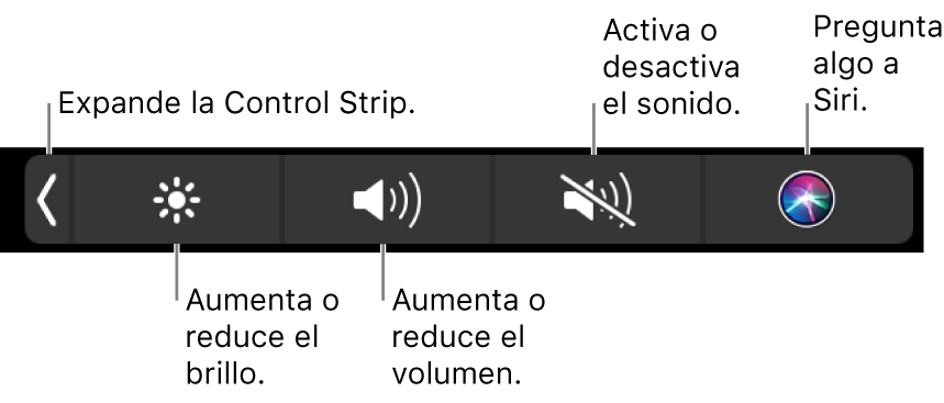 Los botones incluidos en la Control Strip contraída, de izquierda a derecha, para expandir la Control Strip, aumentar o reducir el brillo de la pantalla y el volumen, activar o desactivar el sonido, y pedirle a Siri.